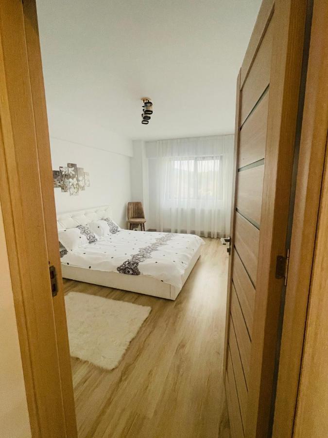 Apartament Yra Rm.Valcea Râmnicu Vâlcea エクステリア 写真