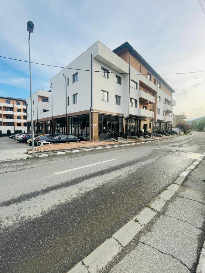 Apartament Yra Rm.Valcea Râmnicu Vâlcea エクステリア 写真